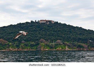 Heybeliada Island Aka Halki And Halki Seminary From Island Ferry In Istanbul