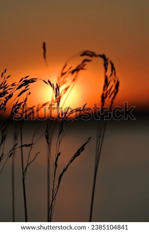 Heys and sunset in finnish nature
