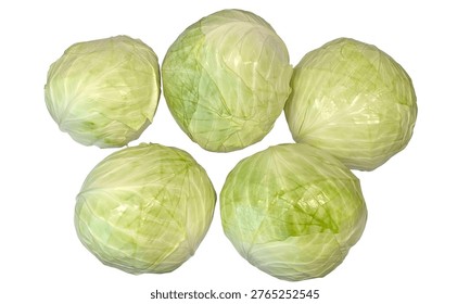 Hgh-angle studio shot of five fresh, vibrant green cabbages arranged on a clean white background. These crisp, organic vegetables are perfect for culinary themes, healthy eating concepts, grocery marketing, and agricultural content. High-quality raw food photography