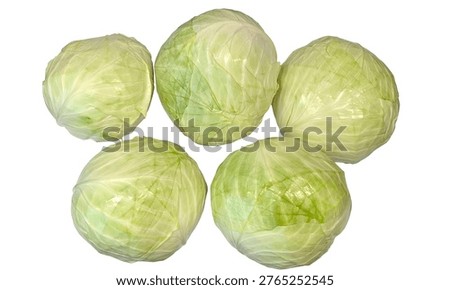 Hgh-angle studio shot of five fresh, vibrant green cabbages arranged on a clean white background. These crisp, organic vegetables are perfect for culinary themes, healthy eating concepts, grocery marketing, and agricultural content. High-quality raw food photography