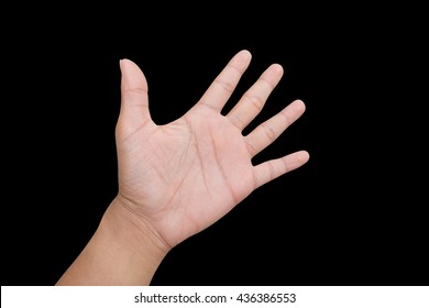 Hi Five, Greet, Stop, Hand Up, The Fifth, Slap, Count Number Sign, Show Empty Left Hand, Isolated On Black Background