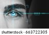 biometric eye
