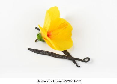 Hibiscus Flower And Vanilla Pods On White Background