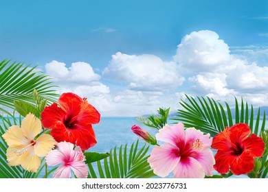 ハイビスカス 海 Images, Stock Photos & Vectors | Shutterstock