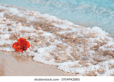 南国 ハイビスカス 海 の画像 写真素材 ベクター画像 Shutterstock