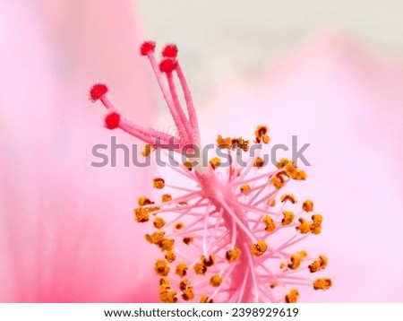 Image, Stock Photo droplet stamp Life Plant