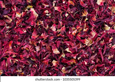 440,989 Hibiscus Images, Stock Photos & Vectors | Shutterstock