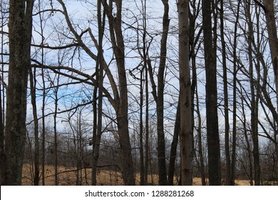 Wv Landscape Images Stock Photos Vectors Shutterstock