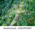 Hidden ancient ruins of Tayrona civilization Ciudad Perdida in the heart of the Colombian jungle. Aerial view from above. Lost city of Teyuna. Santa Marta, Sierra Nevada mountains, Colombia wilderness