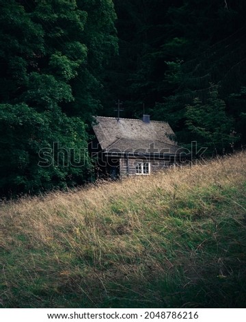 hidden cabin in the forest