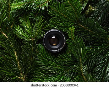 Hidden camera lens looking through green fir branches. Photography background.