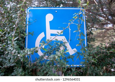 Hidden Disability Sign At Nature