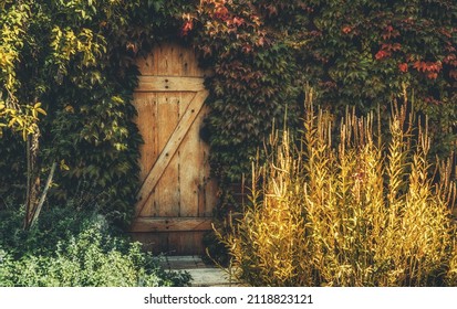 Hidden Door In Virginia Creeper.