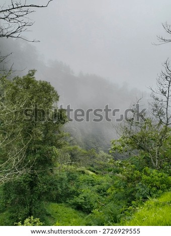 The Hidden Face of the Mountain 
