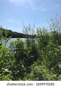 Hidden Fishing Spot Off Of Cedar River Iowa