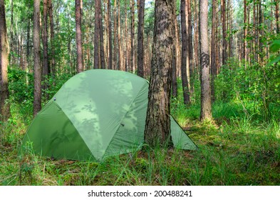 hidden in forest pitched tent - example of stealth camping - stock photo