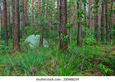 hidden in forest pitched tent - example of stealth camping - stock photo