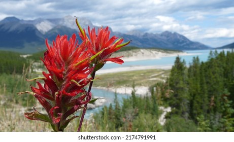 Hidden Gems Along Western Canada's Highways