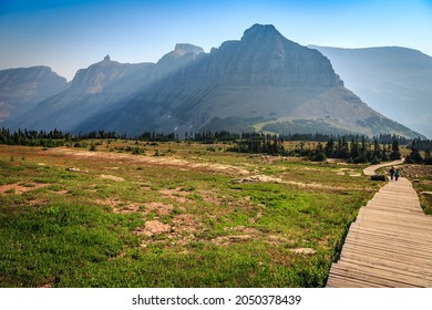 Hidden Lake Train Meadow Views At Logan Pass, Glacier National Park, Montana