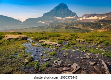 Hidden Lake Train Meadow Views At Logan Pass, Glacier National Park, Montana