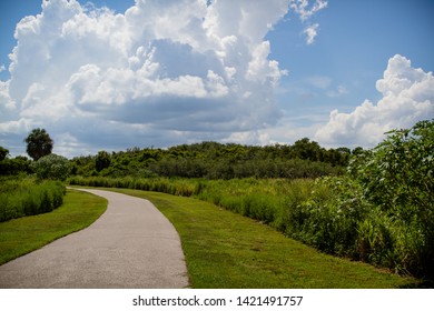 Hidden Path In South Tampa