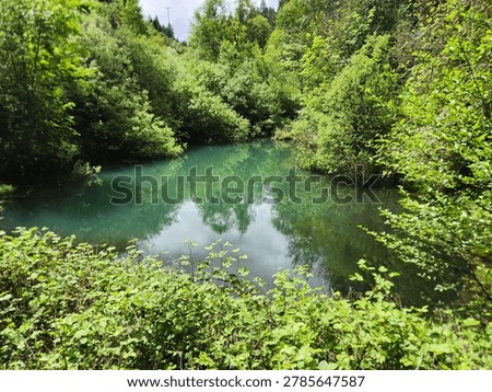 Hidden pond Ryan Creek road