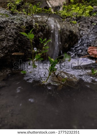 Hidden in the quiet corners of nature, a tiny stream carves its way through stone—soft, persistent, unstoppable. This close-up reveals a world often overlooked, where life thrives in silence and every drop carries a sense of calm.
Sometimes, the smallest flows create the deepest peace.