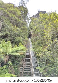 The Hidden Rain Forest Railway