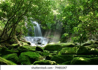 Hidden rain forest waterfall with lush foliage and mossy rocks - Powered by Shutterstock