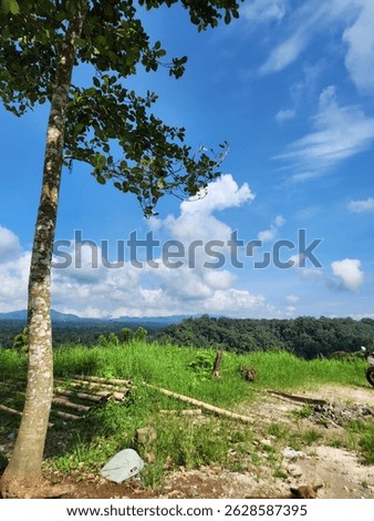 hiddengem fields under a bright blue sky