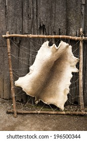 The Hide Of An Animal Being Stretched On A Wooden Frame.