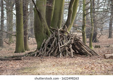 A Hideout In A Woodland Landscape In Europe