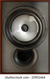 Hi-end Two Way Bass Reflex Monitor Speaker System