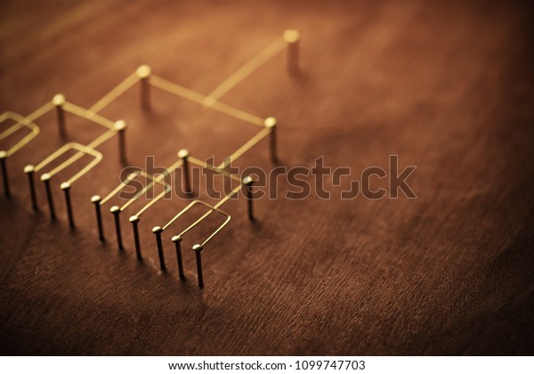 Hierarchy, command chain, company / organization\
structure or layer and grouping concept image. Top down structure\
made from gold wires and nails on rustic wooden surface. Shallow\
depth of field.