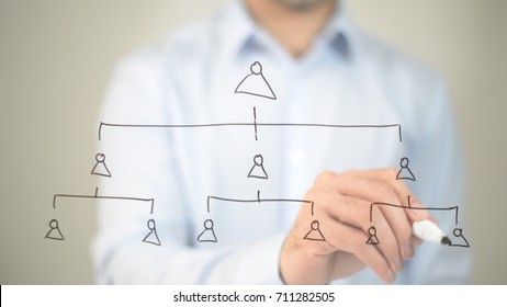 Hierarchy, Concept,  Man writing on transparent screen - Shutterstock ID 711282505