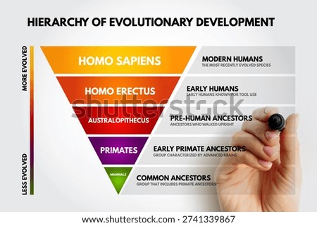 Hierarchy of Evolutionary Development illustrating progress from mammals to sapiens, including primates, australopithecus. Hand highlights the most evolved stage
