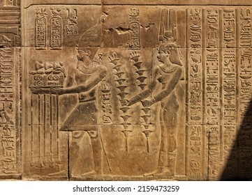 Hieroglyphic carvings on the exterior walls of an ancient egyptian temple