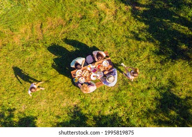 High above angle view big full family having picnic outside cheerful on holidays children playing running around