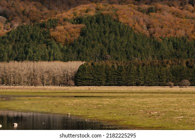 High Altitude Mountain Autumn Colors