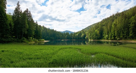 Wide Nature Images, Stock Photos Vectors Shutterstock