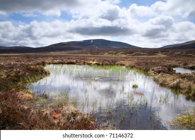 High altitude peat bog in the in the Feshie estate of the Scottish highlands.
