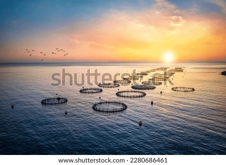 High angle aerial view of a a fish farm off the coast in the blue, mediterranean sea in Greece during sunset time