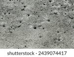 High angle and afternoon view of crabs and holes on mud flat at low tide at Suncheon Bay near Suncheon-si, South Korea
