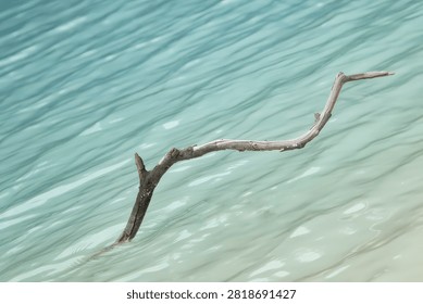High angle close up of a single dead tree branch in the turquoise water of a volcanic crater lake.
Minimalist nature background showing a dry wooden stick submerged in clear turquoise water ripples.