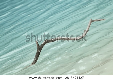High angle close up of a single dead tree branch in the turquoise water of a volcanic crater lake.
Minimalist nature background showing a dry wooden stick submerged in clear turquoise water ripples.
