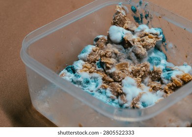High angle close up of spoiled leftover food in a clear plastic container showing thick textured white and blue mold growth against a neutral brown background.