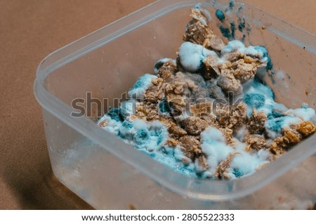 High angle close up of spoiled leftover food in a clear plastic container showing thick textured white and blue mold growth against a neutral brown background.