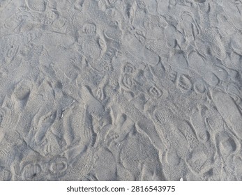 High angle close-up of overlapping human footprints and shoe prints on a sandy beach. Detailed texture of sand and tracks, perfect for travel themes, vacation concepts, human activity photography, and background designs.