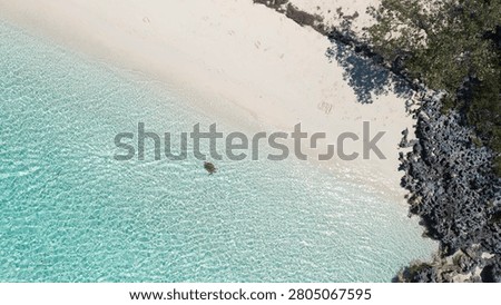 High angle drone view of a marine sea turtle swimming in clear shallow ocean water along a tropical sandy beach in the Bahamas.