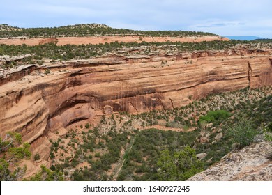 High Angle Landscape Of Red Stone Cliff And Greenery At Colorado National Monument In Colorado